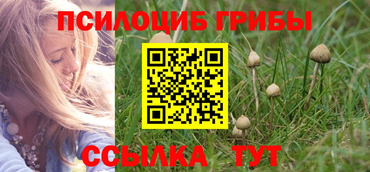 Ртищево  Галлюциногенные грибы Cubensis  Псилоцибиновые грибы Cubensis  Вход с VPN 
