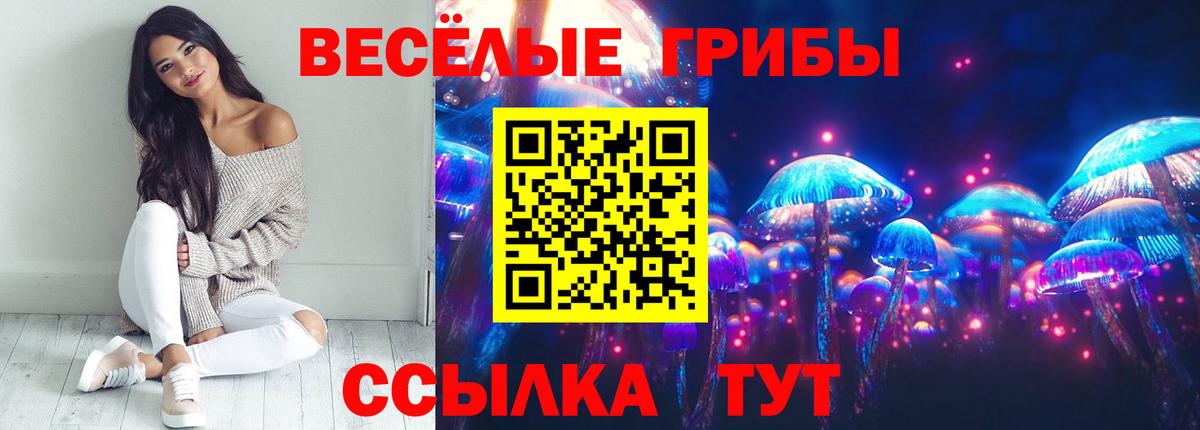 Галлюциногенные грибы Magic Shrooms Ртищево